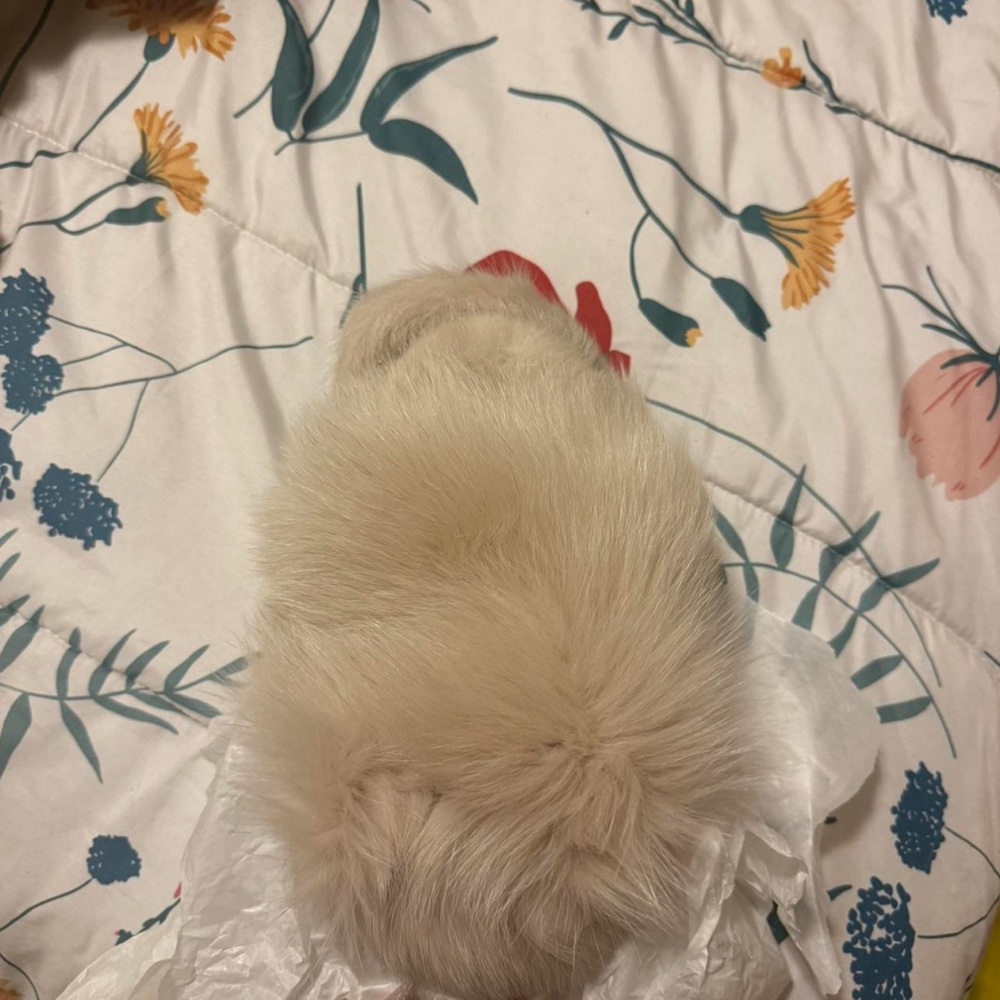 Real fur slippers
